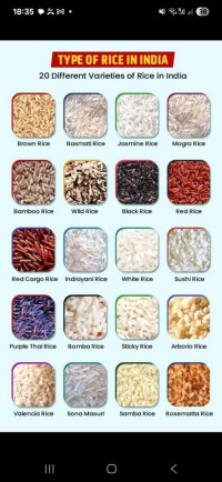 High Quality A Grade Rice